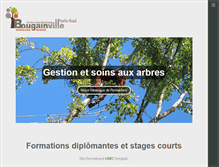 Tablet Screenshot of cfppa-bougainville.fr